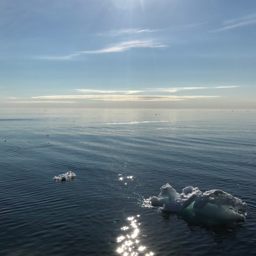 blue ocean and sky with sea-ice bobbing in the foreground