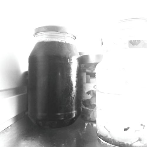 black and white image of jars in a fridge